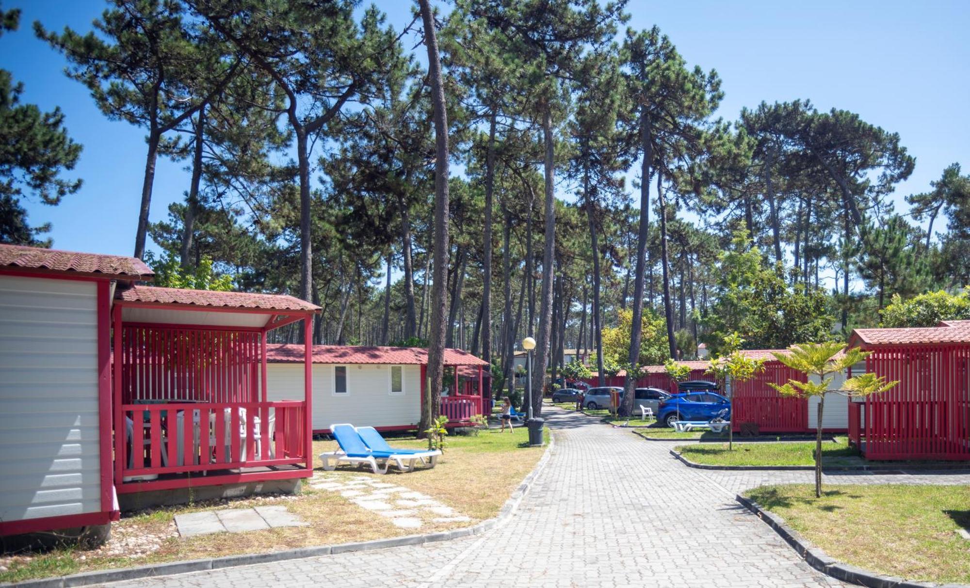 Parque De Campismo Orbitur Sao Pedro De Moel Hotel Phòng bức ảnh