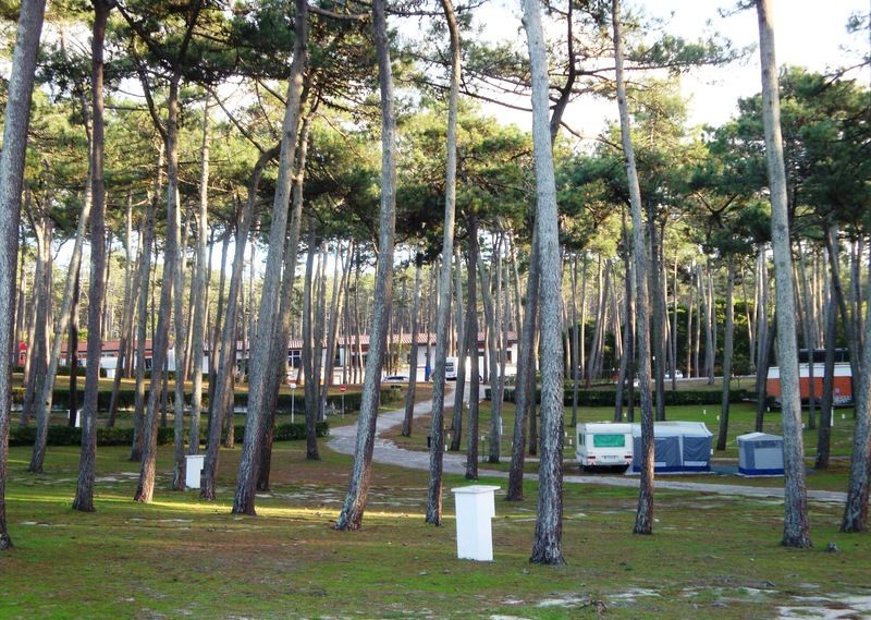 Parque De Campismo Orbitur Sao Pedro De Moel Hotel Ngoại thất bức ảnh